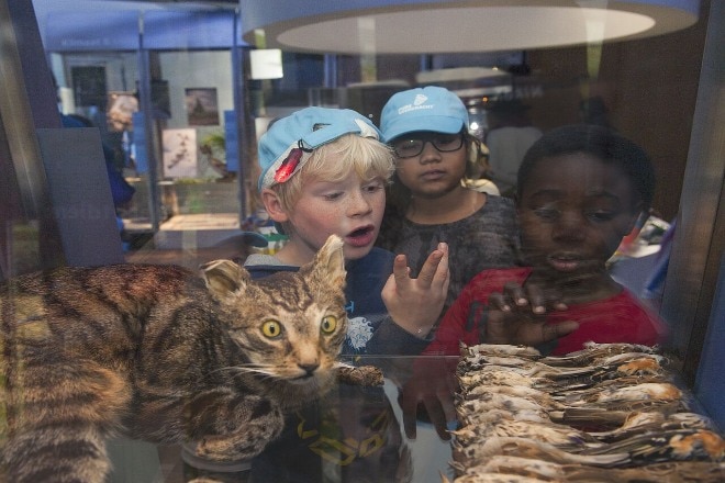 7x bijzondere dierenparken in eigen land die zeker een bezoekje waard zijn Ouders van Nu Redactie