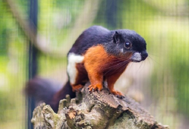 7x bijzondere dierenparken in eigen land die zeker een bezoekje waard zijn Ouders van Nu Redactie