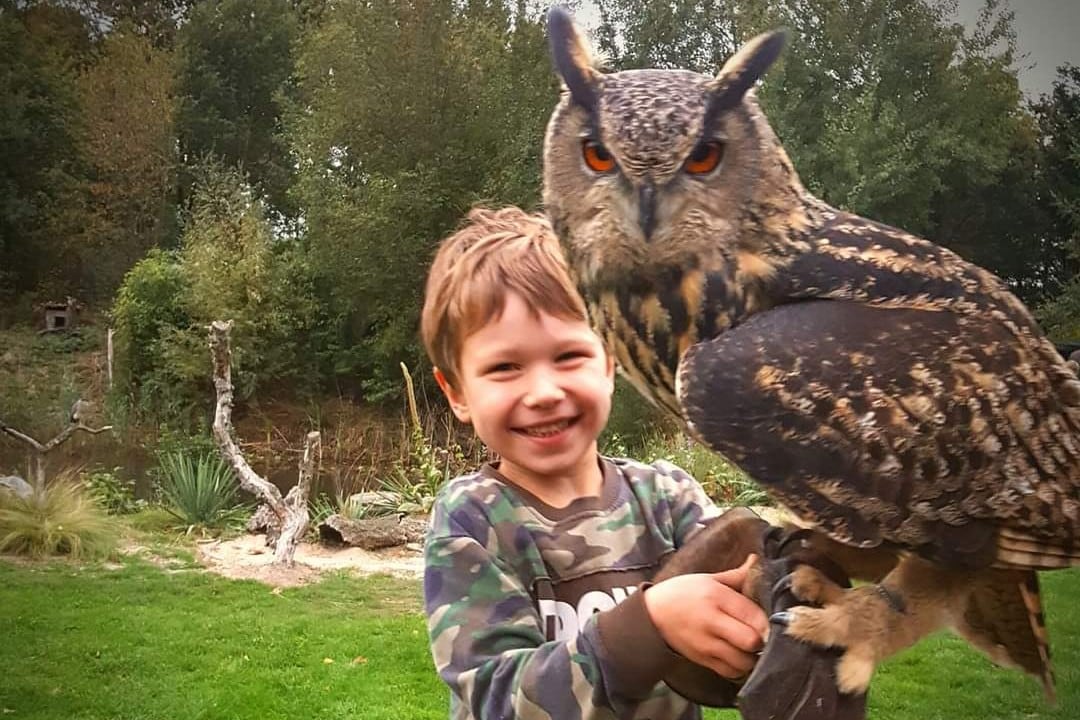 7x bijzondere dierenparken in eigen land die zeker een bezoekje waard zijn Ouders van Nu Redactie
