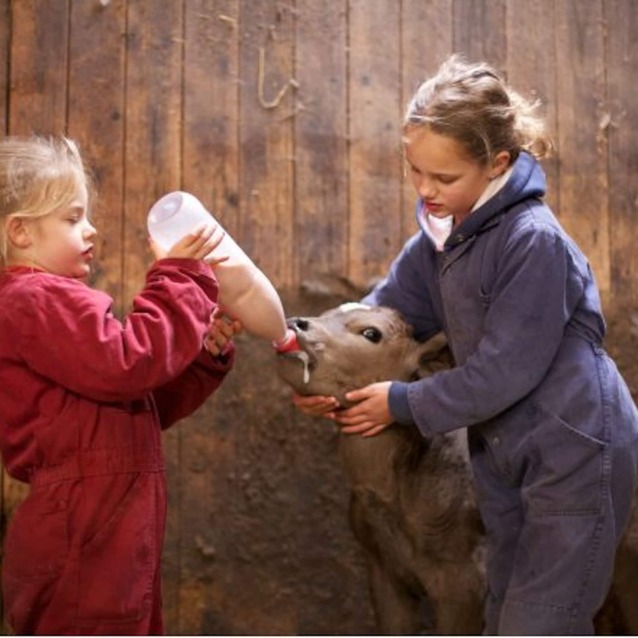 7x bijzondere dierenparken in eigen land die zeker een bezoekje waard zijn