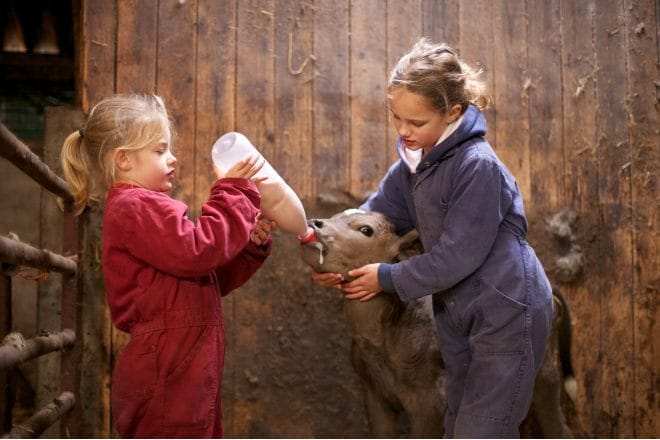 7x bijzondere dierenparken in eigen land die zeker een bezoekje waard zijn Ouders van Nu Redactie