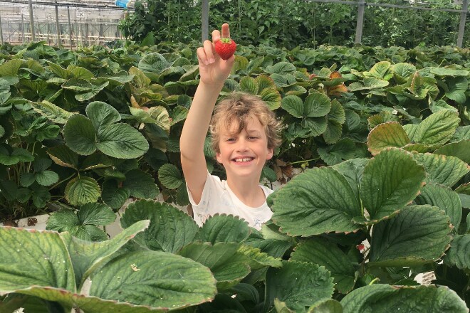 8x geweldige pluktuinen voor kinderen Ouders van Nu Redactie