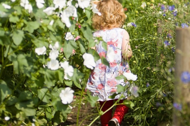 8x geweldige pluktuinen voor kinderen Ouders van Nu Redactie