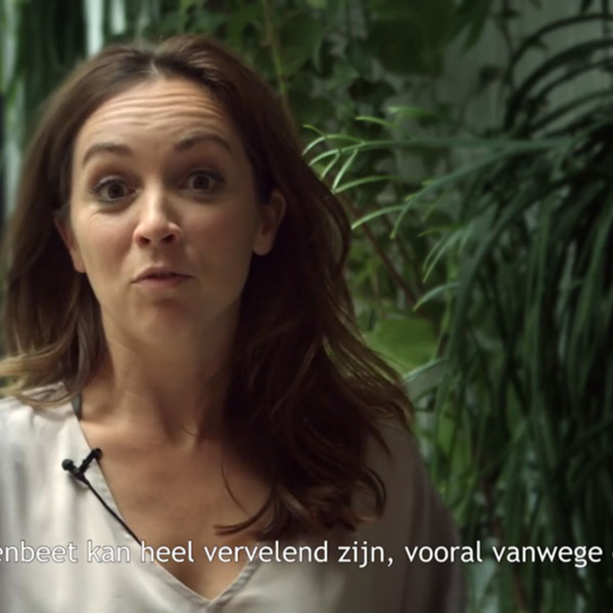 kinder ehbo insectenbeet