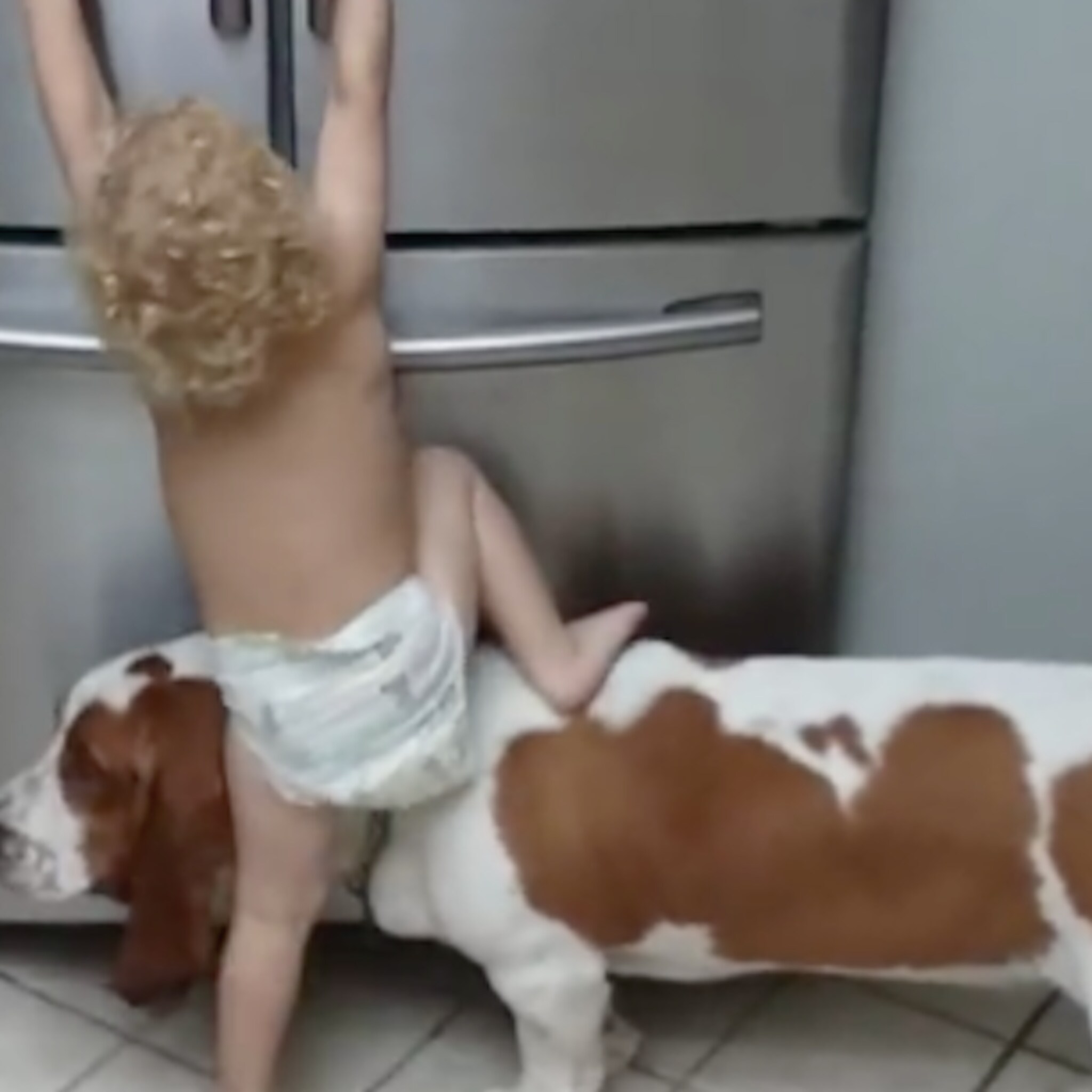 hond geeft peuter een zetje in de zoektocht naar iets lekkers