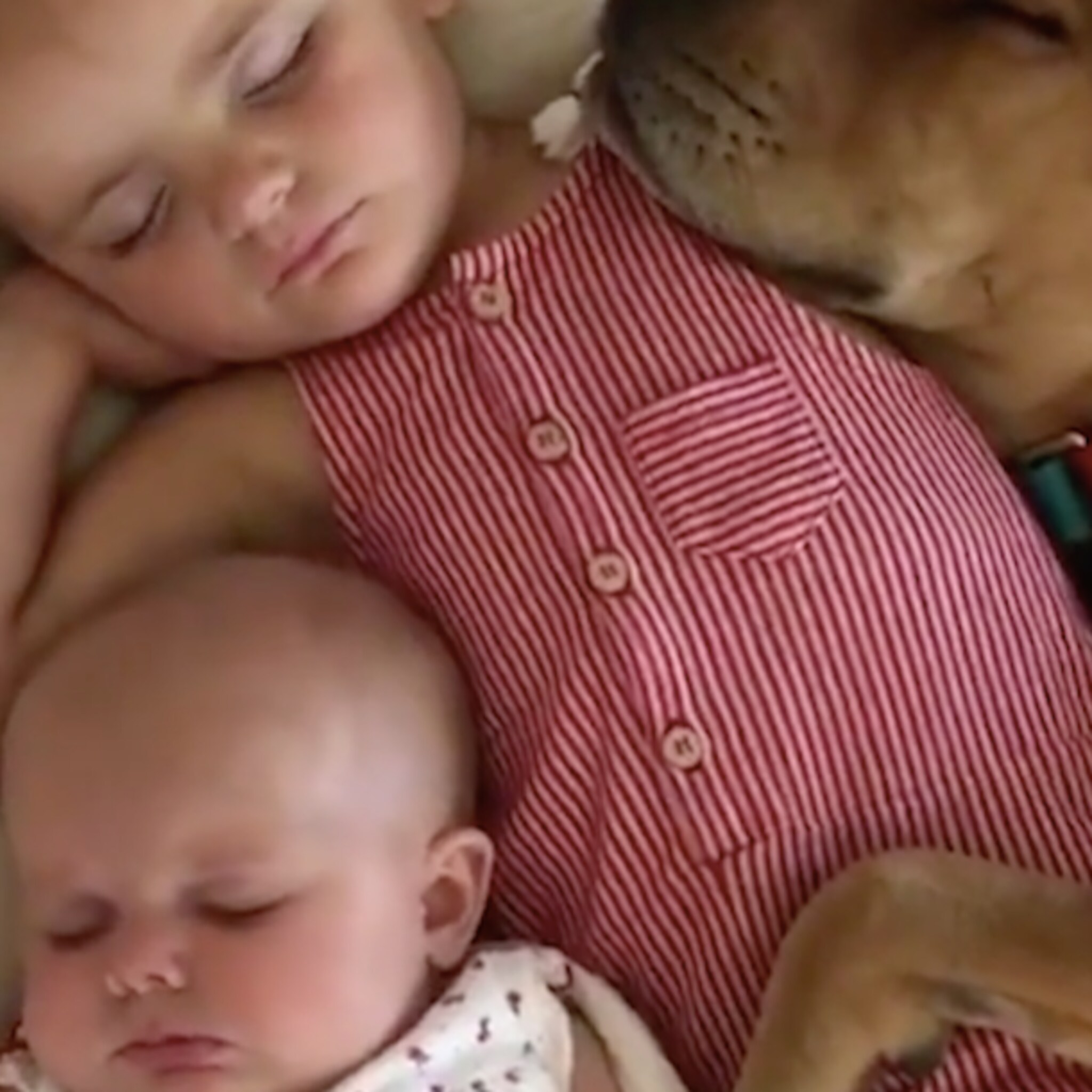 er waren eens een baby een meisje en een pup