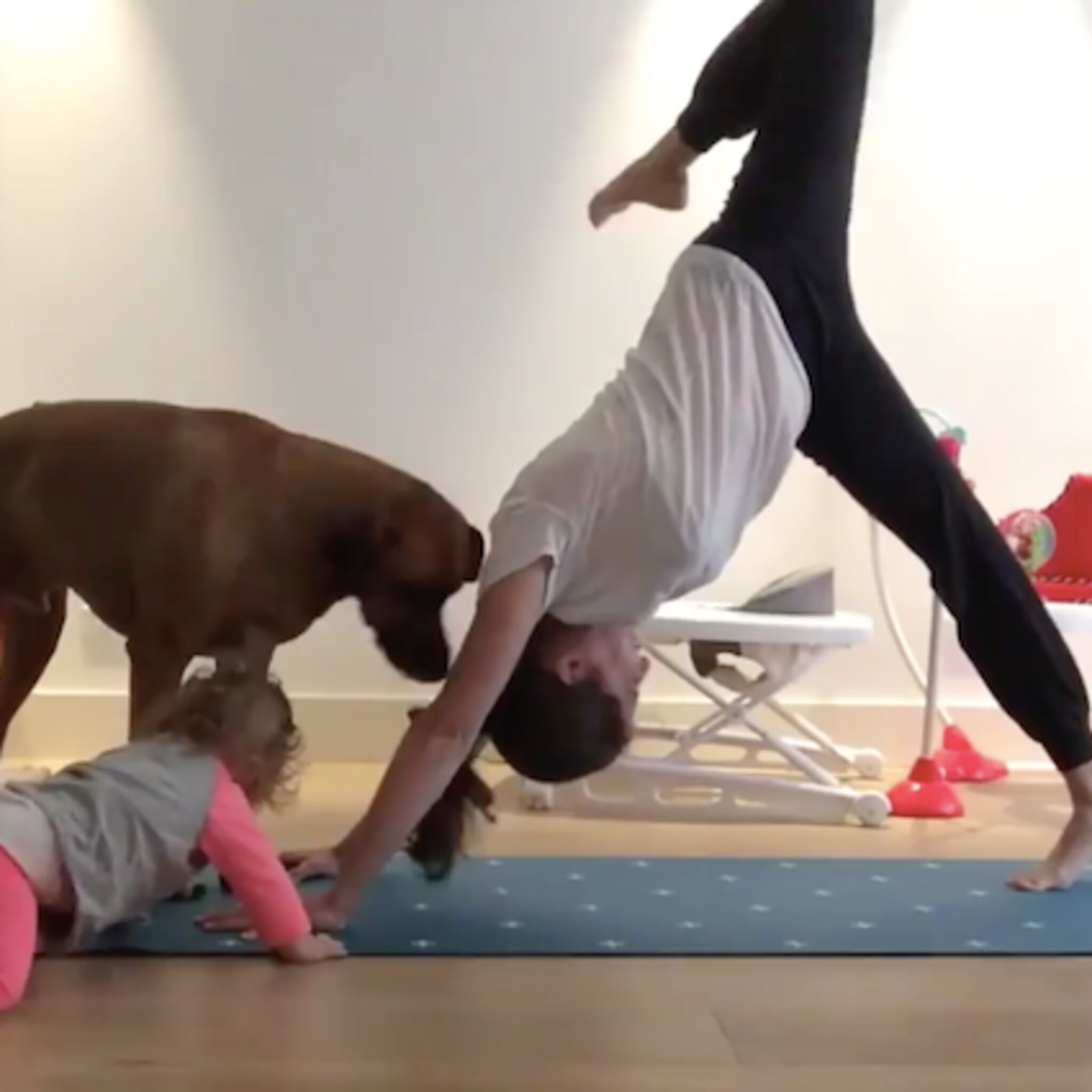yoga met een baby en een hond thuis blijkt knap lastig