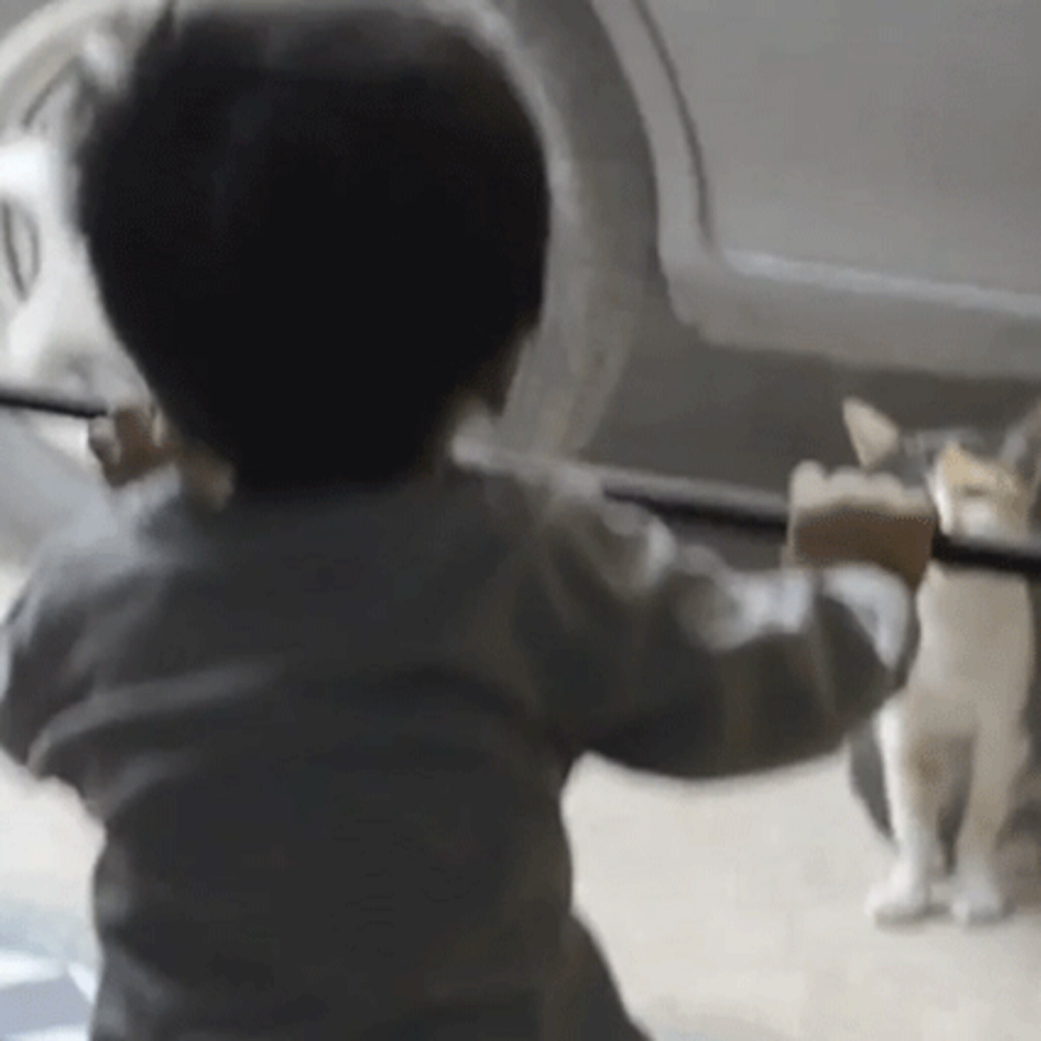 schattig peuter praat met kat