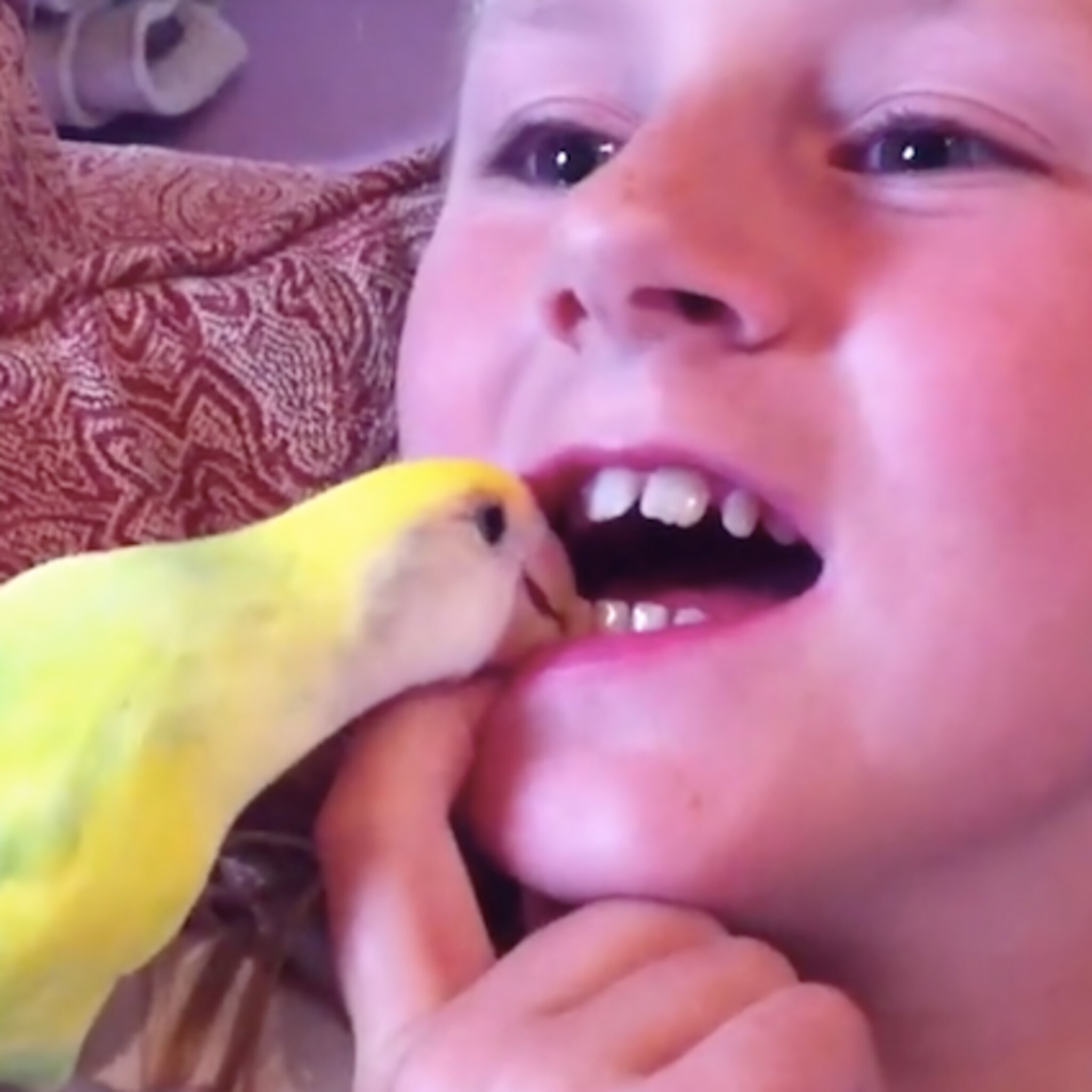 creatieve manieren van kinderen om hun loszittende tand te verliezen
