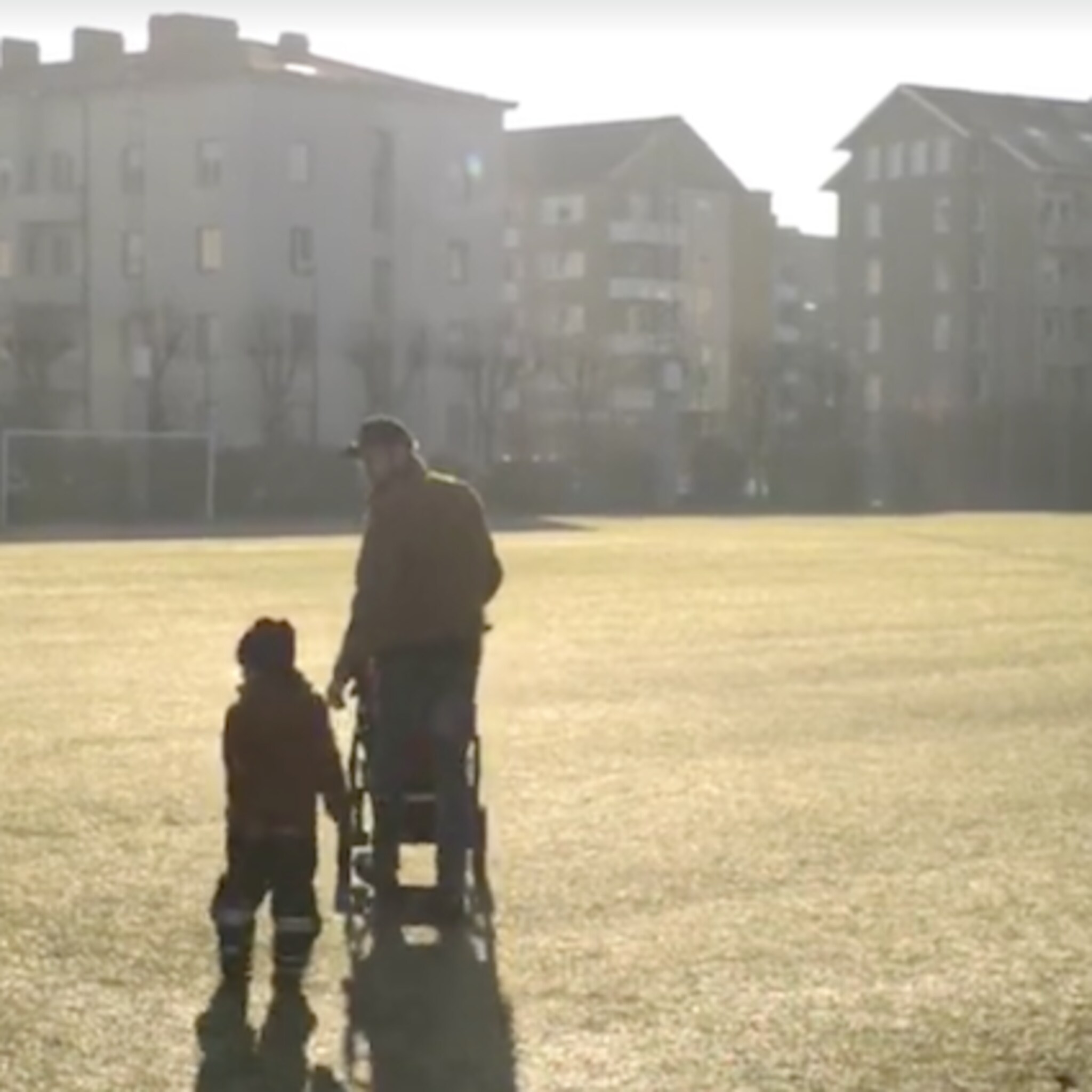 prachtig in beeld het vaderschap in zweden