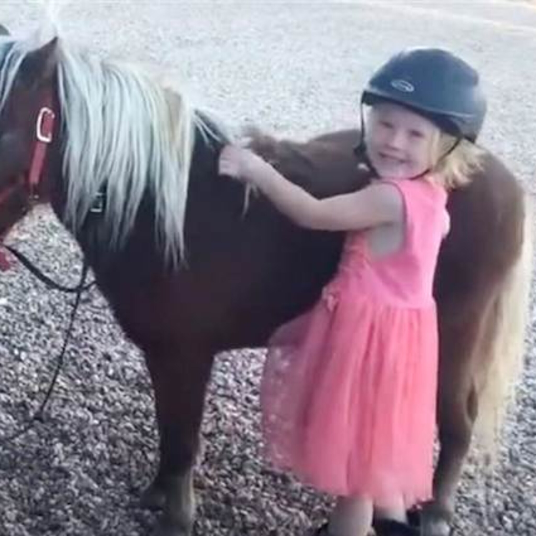 meisje 3 is vastberaden om zonder hulp op haar pony te klimmen