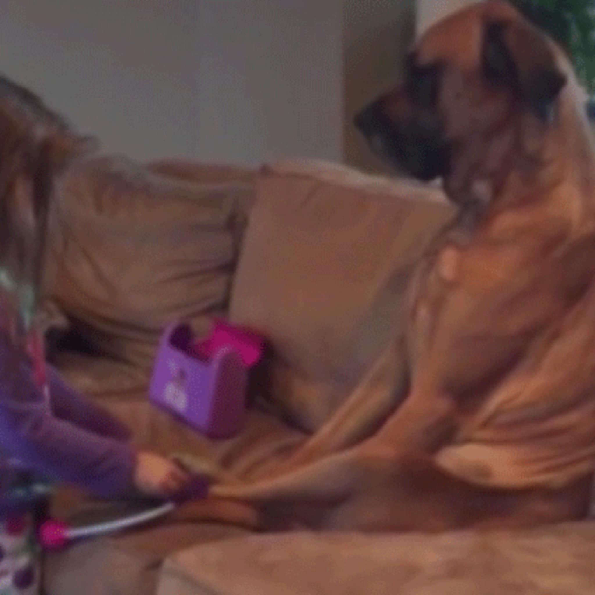 schattig meisje geeft hond een medisch onderzoek