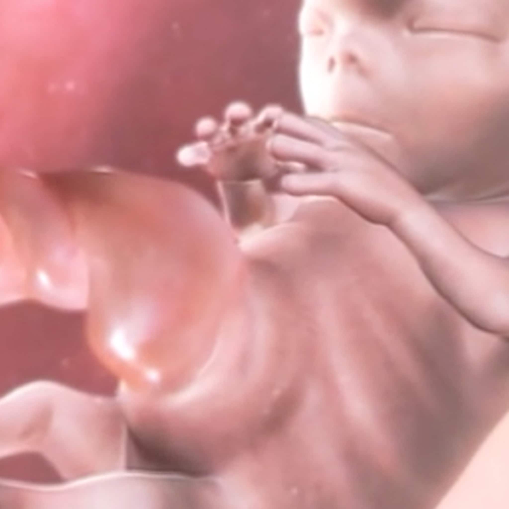 zo ontwikkelt een embryo zich in een meisje of een jongen
