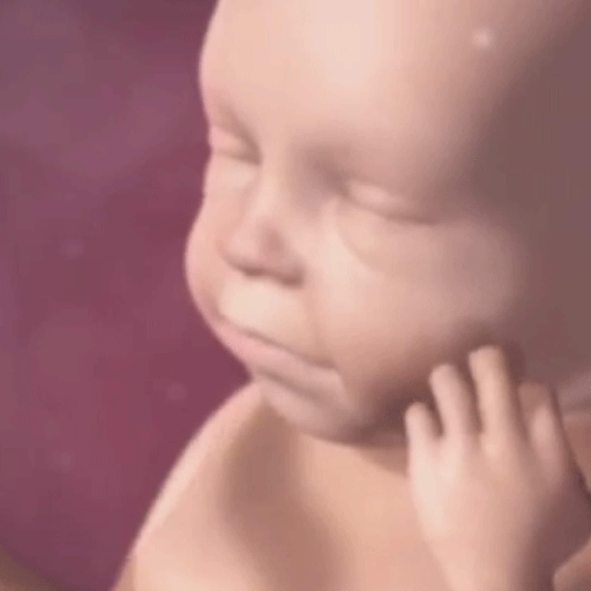 ontwikkeling zintuigen baby tijdens de zwangerschap