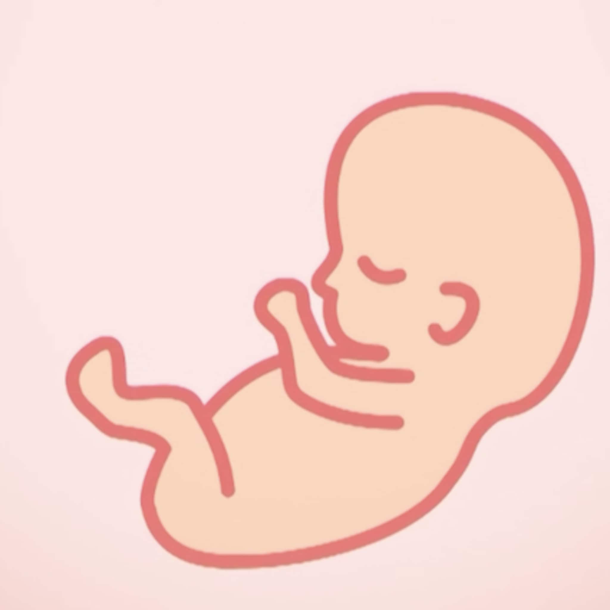 van embryo tot baby in 1 minuut