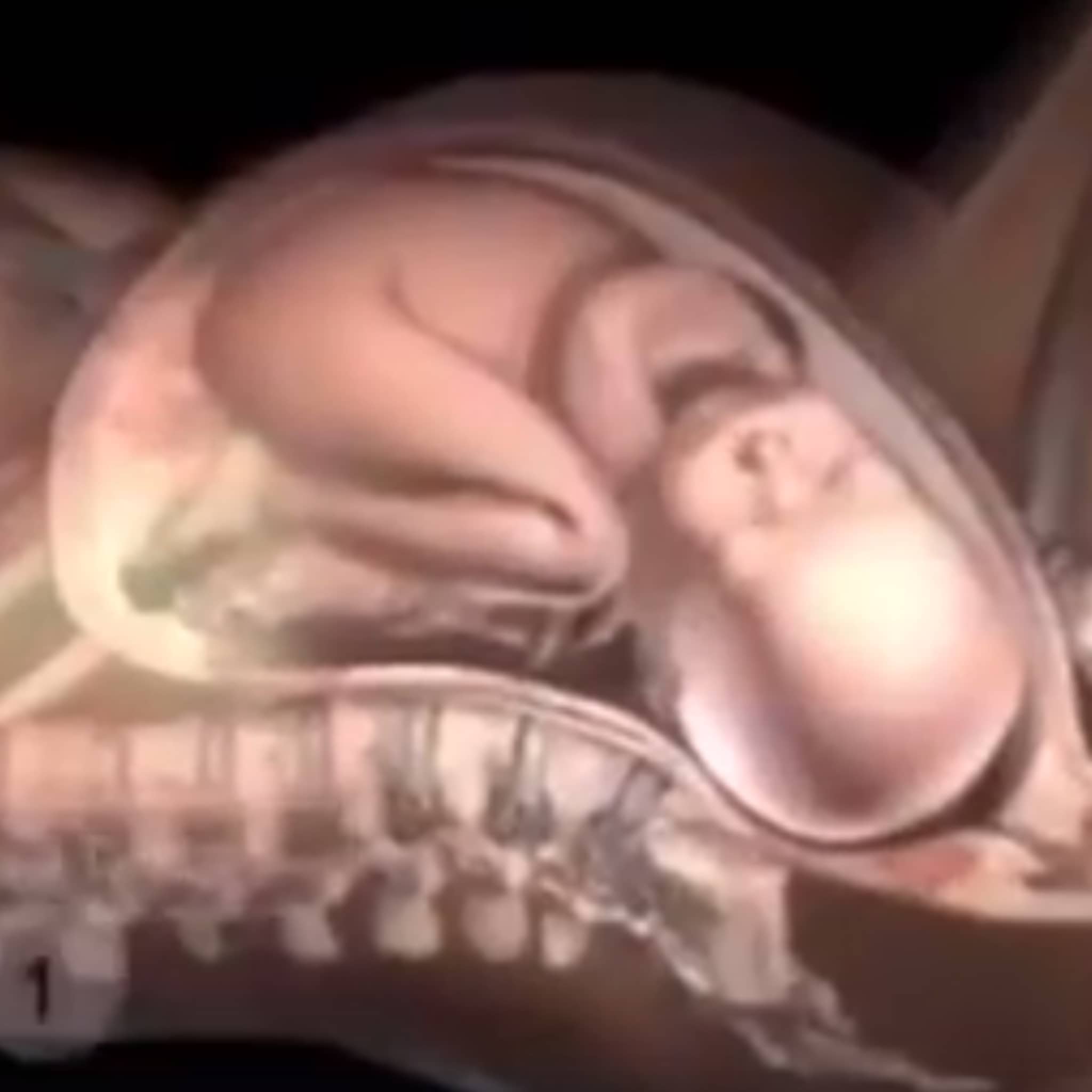 animatie zo wordt een baby geboren