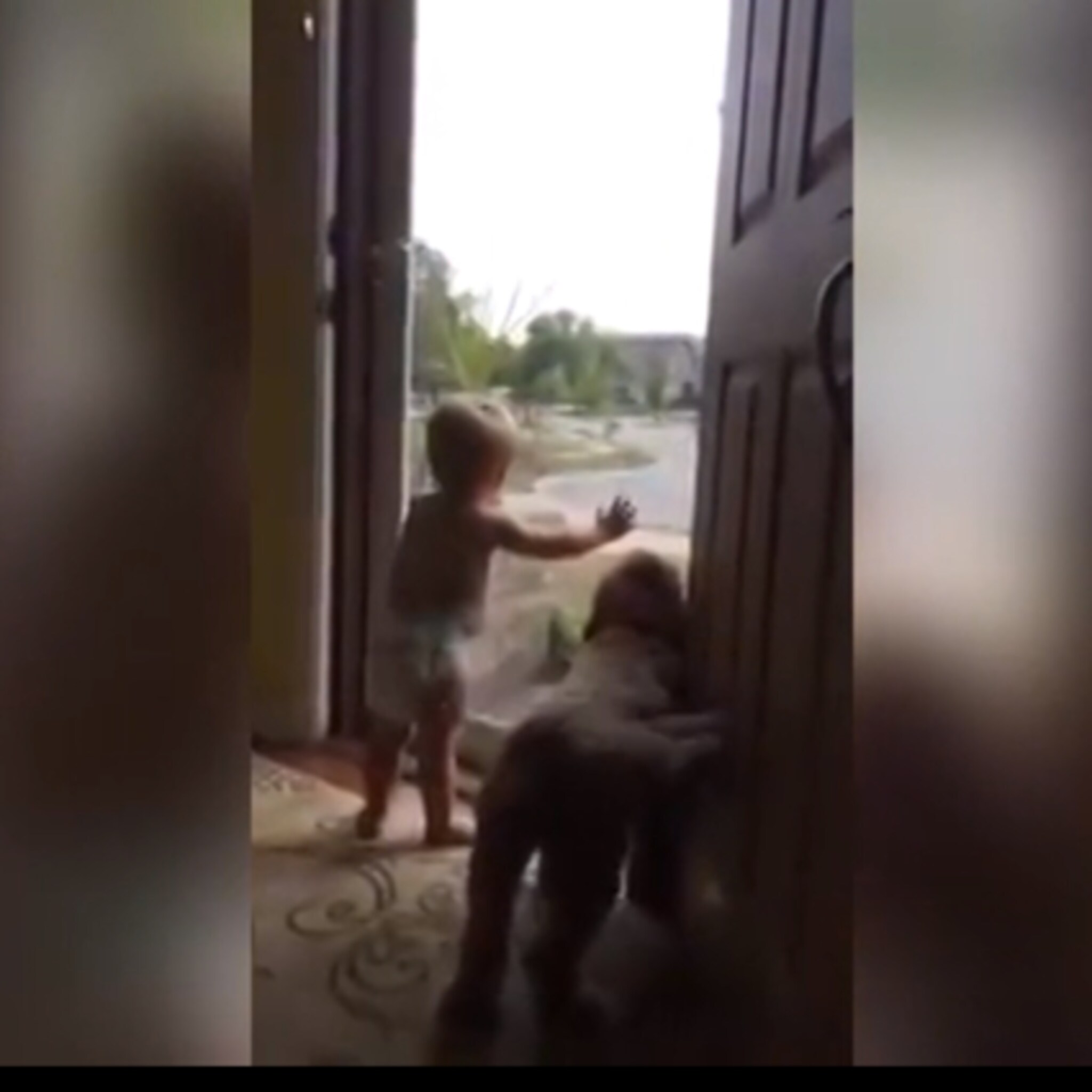 peuter en hond super blij dat papa thuiskomt
