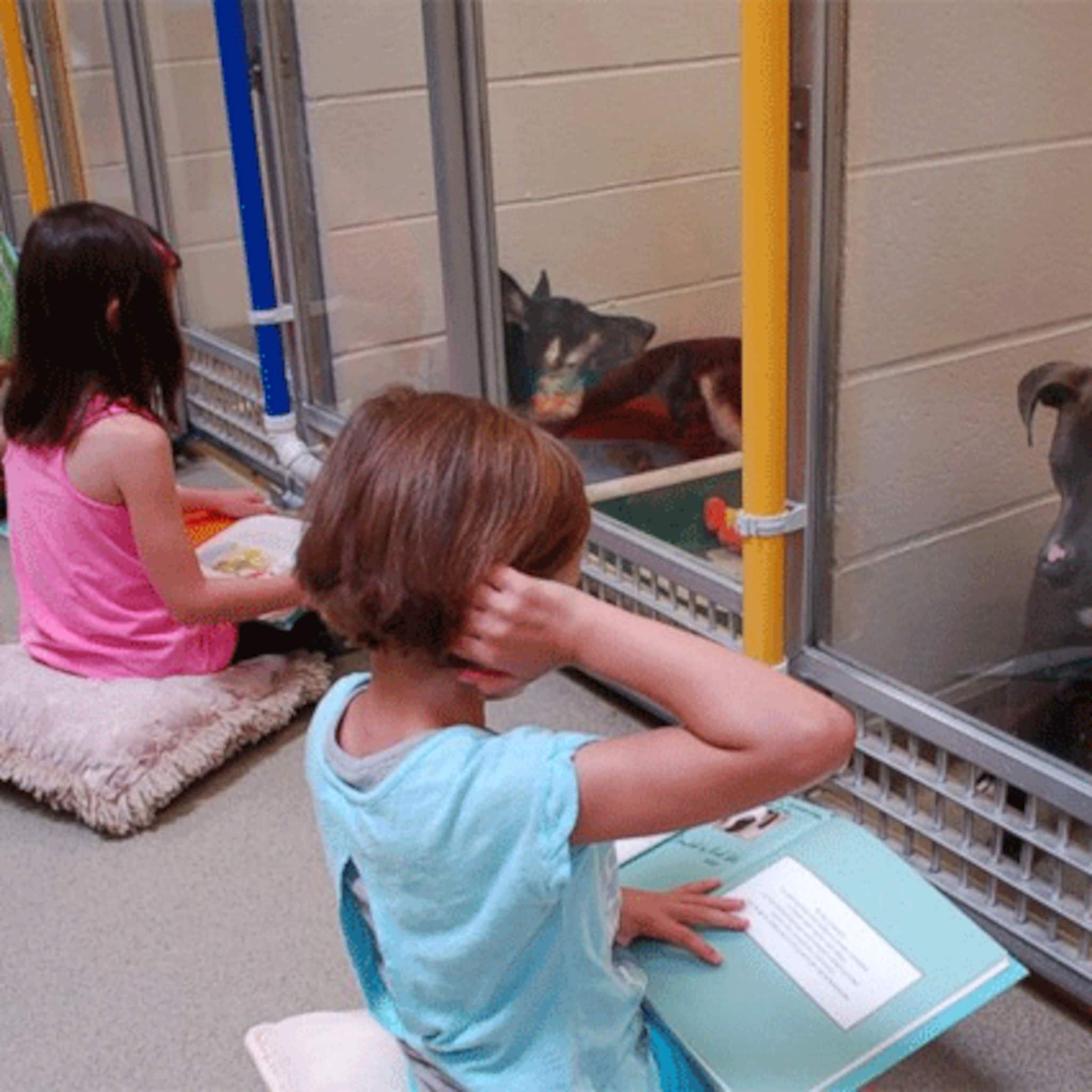 kinderen kalmeren asielhonden door ze voor te lezen