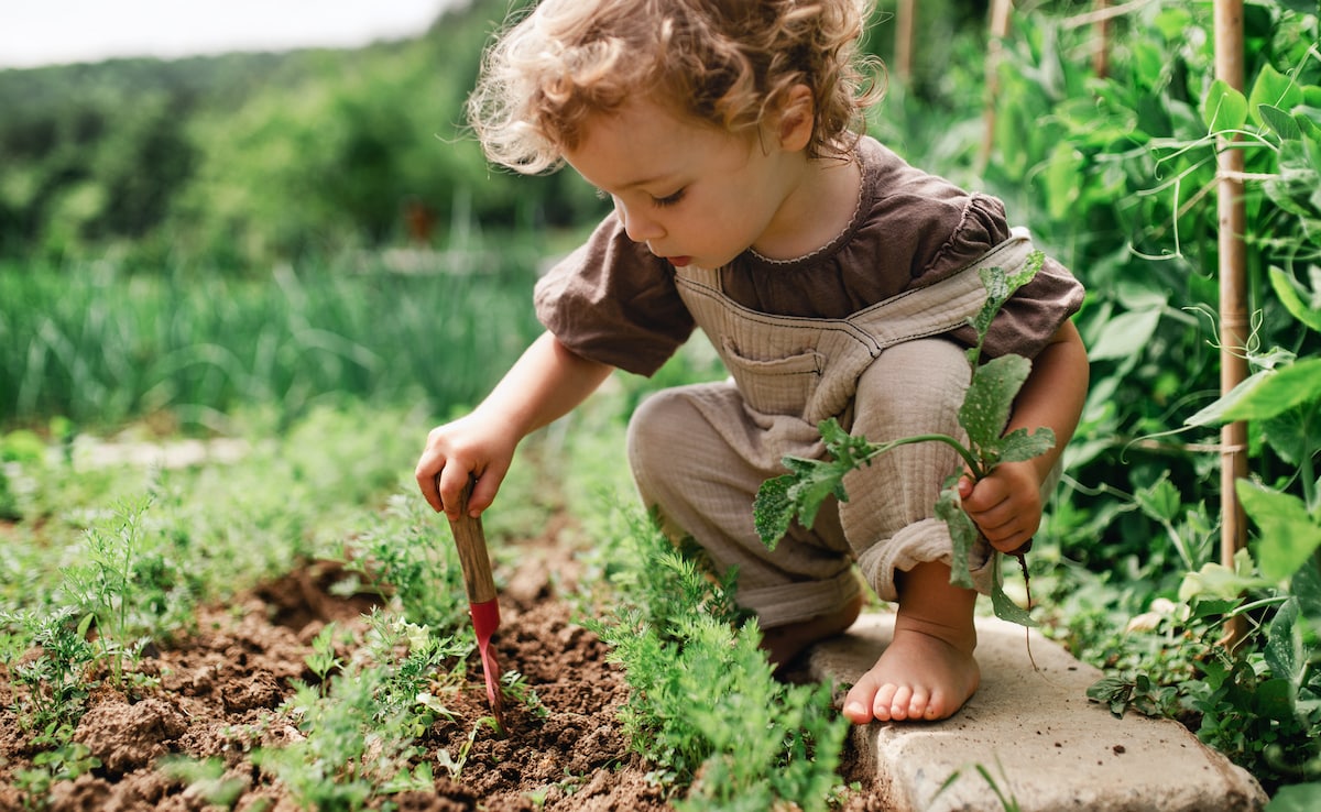 zo leer je je peuter spelenderwijs over de natuur