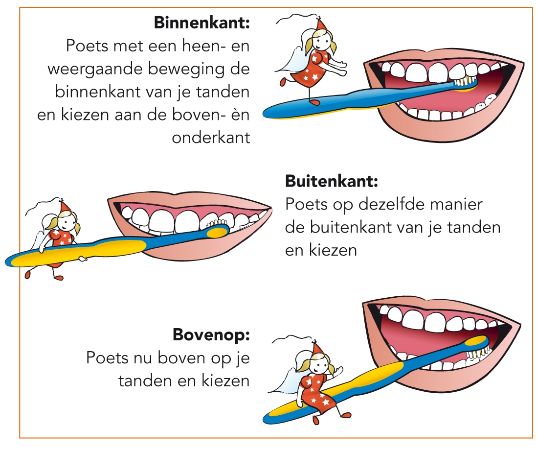 In deze 4 stappen wordt jouw kind een echte poetskampioen Ouders van Nu Redactie