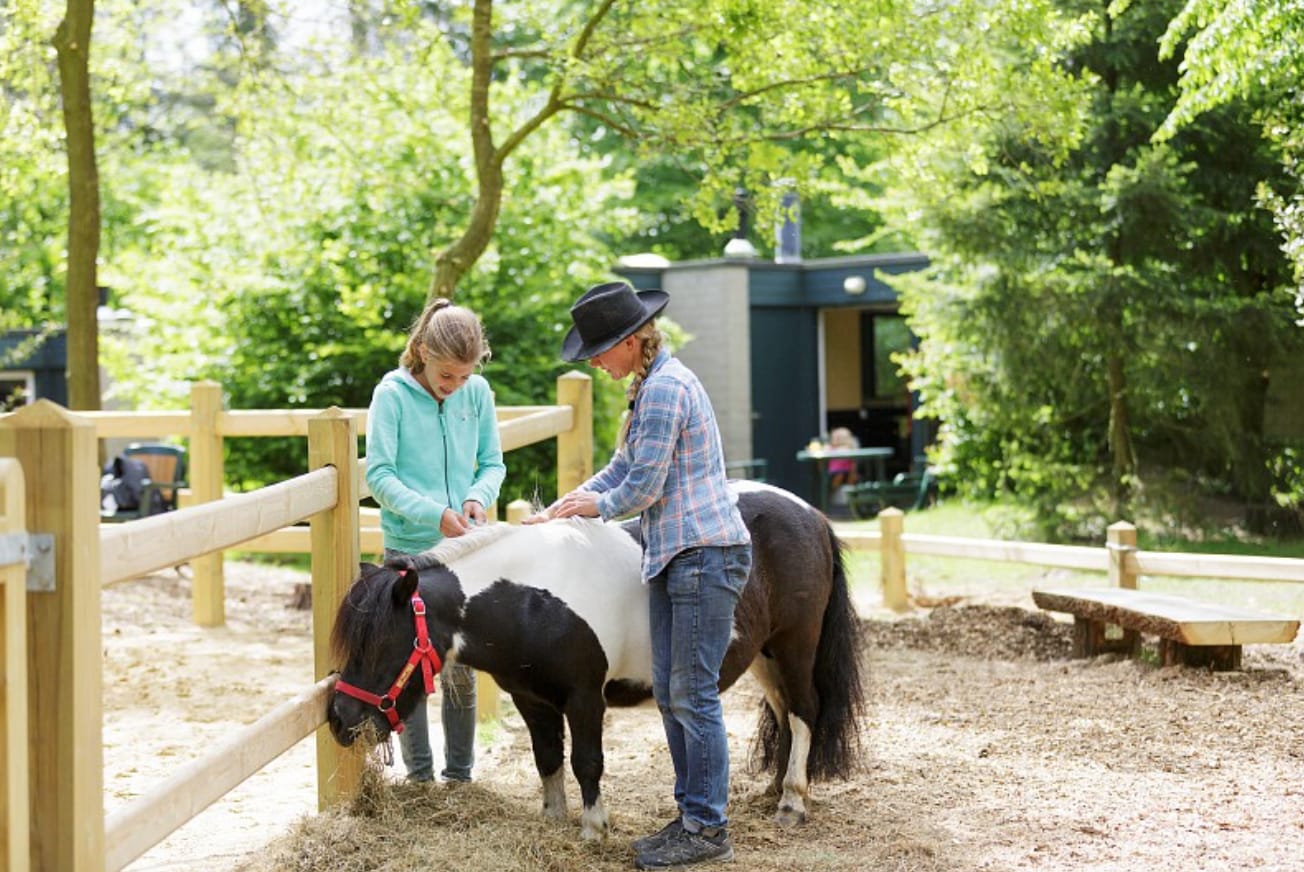 van avontuur cottage tot speelhuis check deze bijzondere accommodaties voor het hele gezin