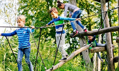 12x de leukste speelbossen van Nederland Ouders van Nu Redactie