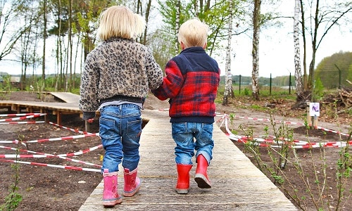 12x de leukste speelbossen van Nederland Ouders van Nu Redactie