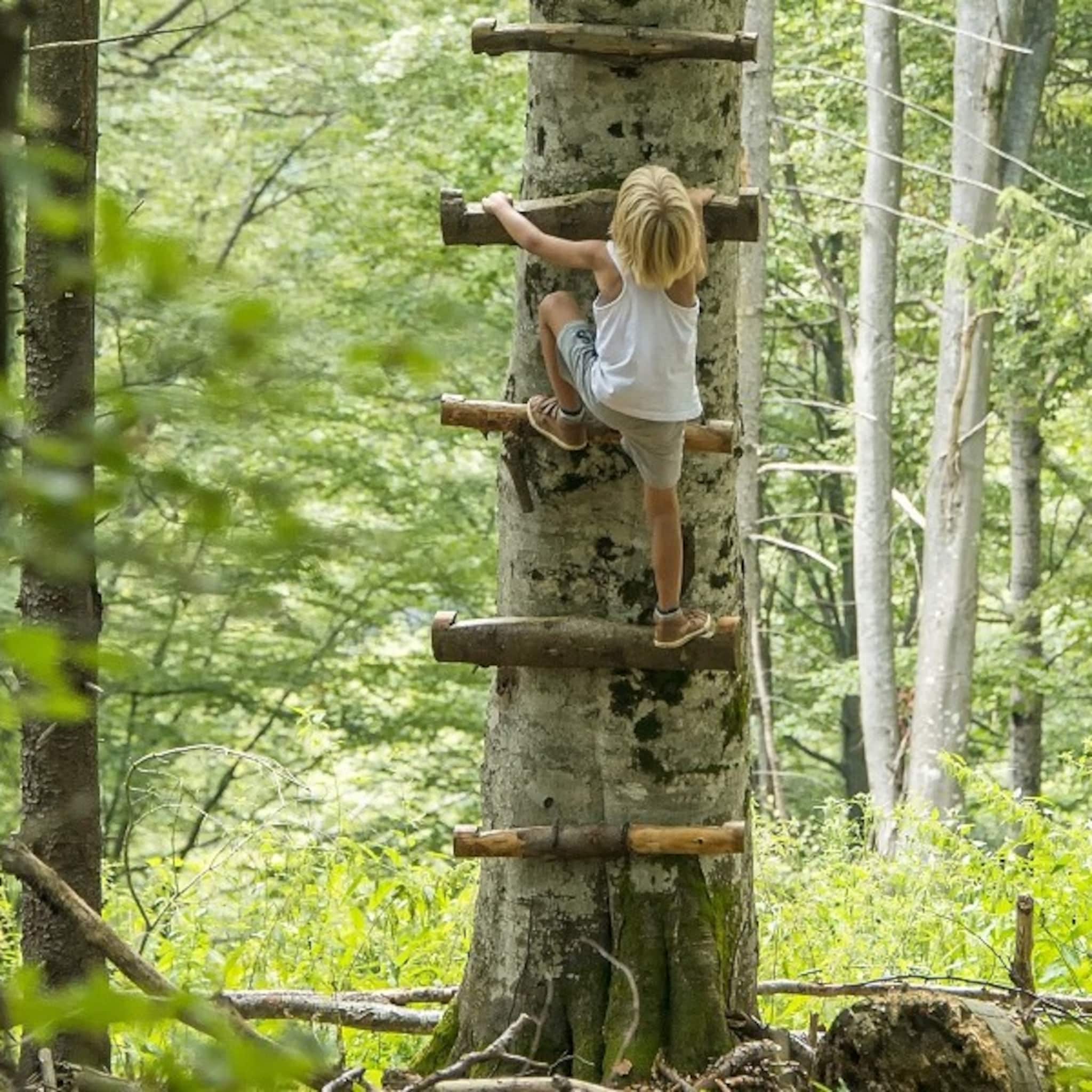 12x de leukste speelbossen van nederland