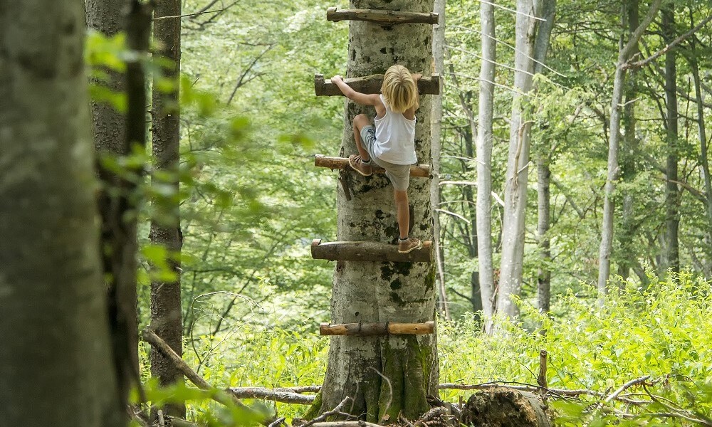 12x de leukste speelbossen van Nederland Ouders van Nu Redactie