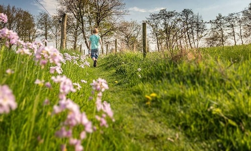 12x de leukste speelbossen van Nederland Ouders van Nu Redactie