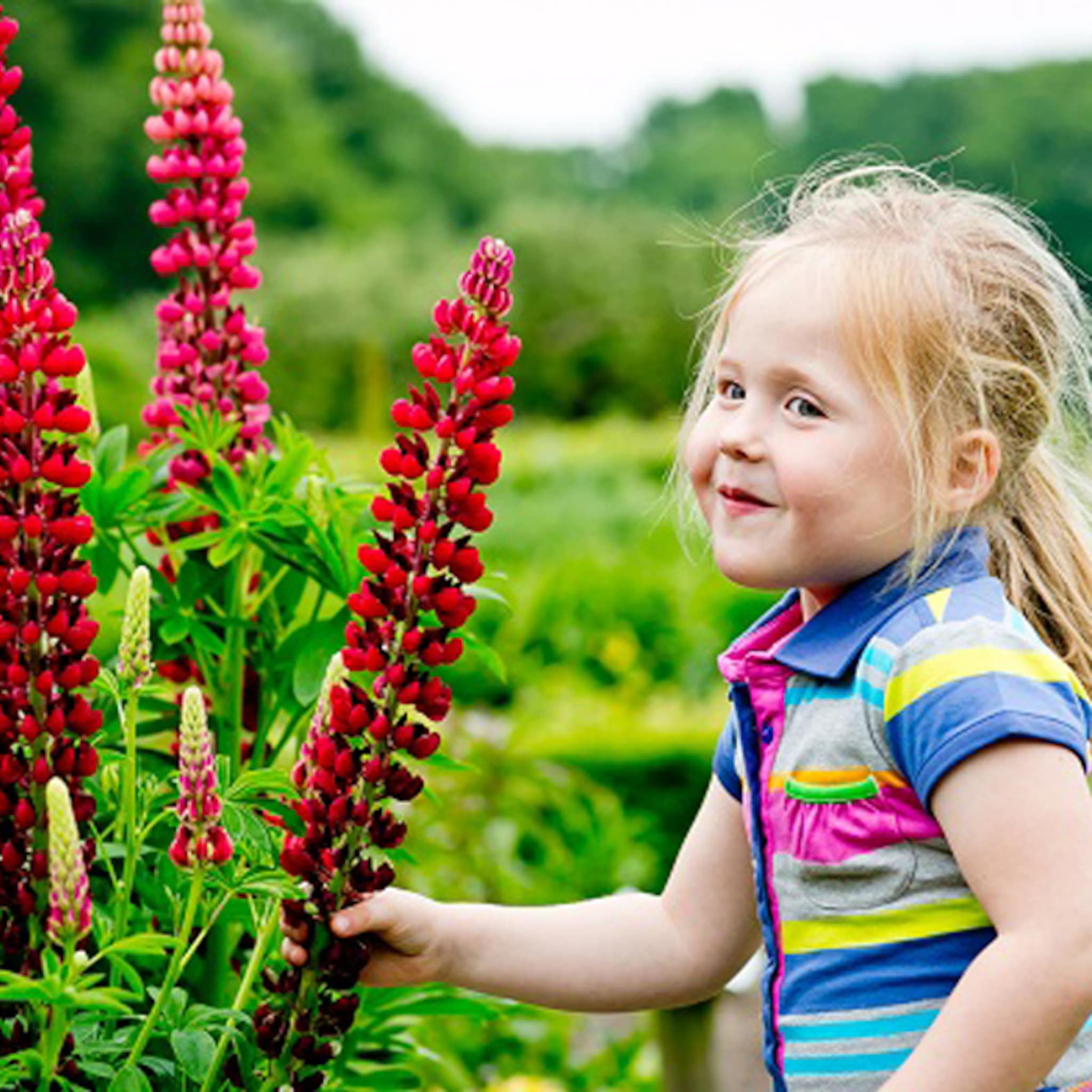 7x avontuurlijke speurtochten voor kinderen