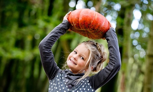 7x heerlijke herfstuitjes voor peuters en kleuters Ouders van Nu Redactie