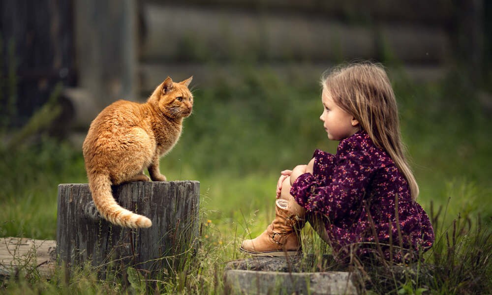 En toen ging de kat dood Ouders van Nu Redactie