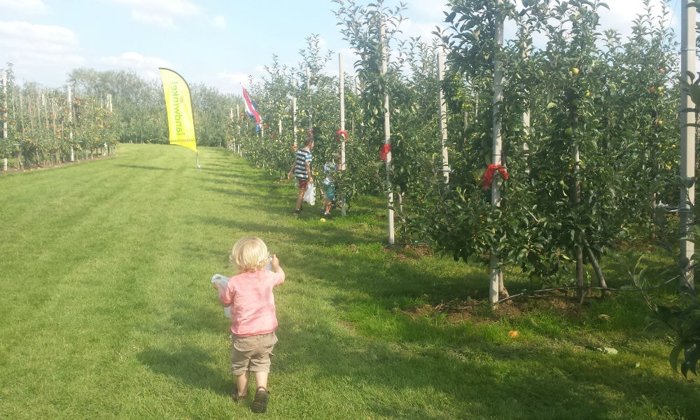 Leuk uitje: 5 plekken waar je zelf appels plukt Ouders van Nu Redactie