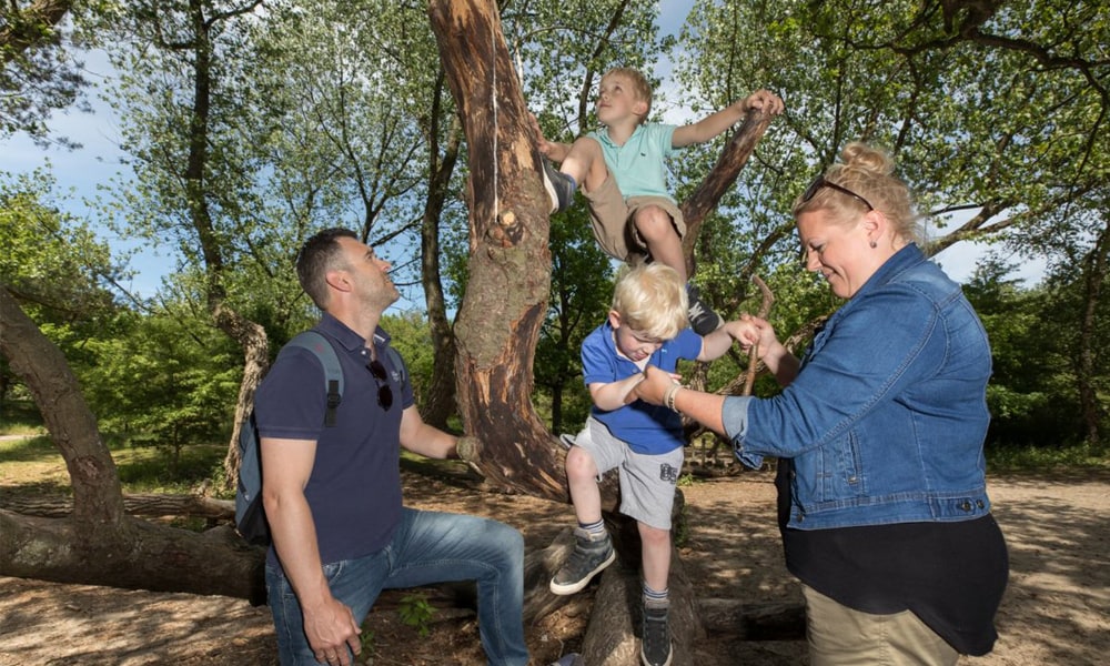 5 wandelplekken waar kinderen blij van worden Ouders van Nu Redactie