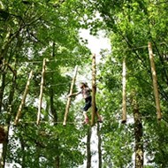 9 favoriete klauter- en klimbossen Ouders van Nu Redactie