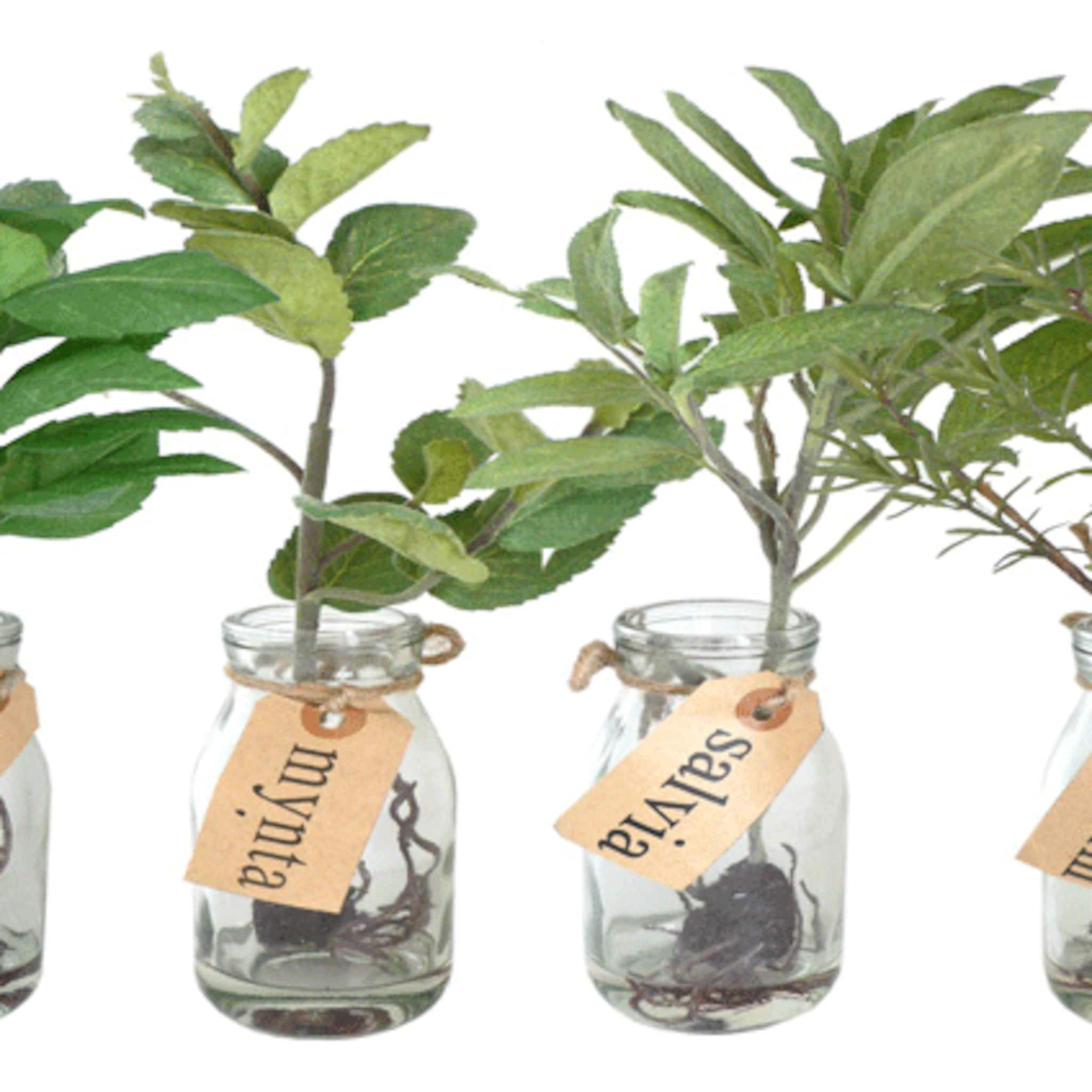 10 groene hebbedingen