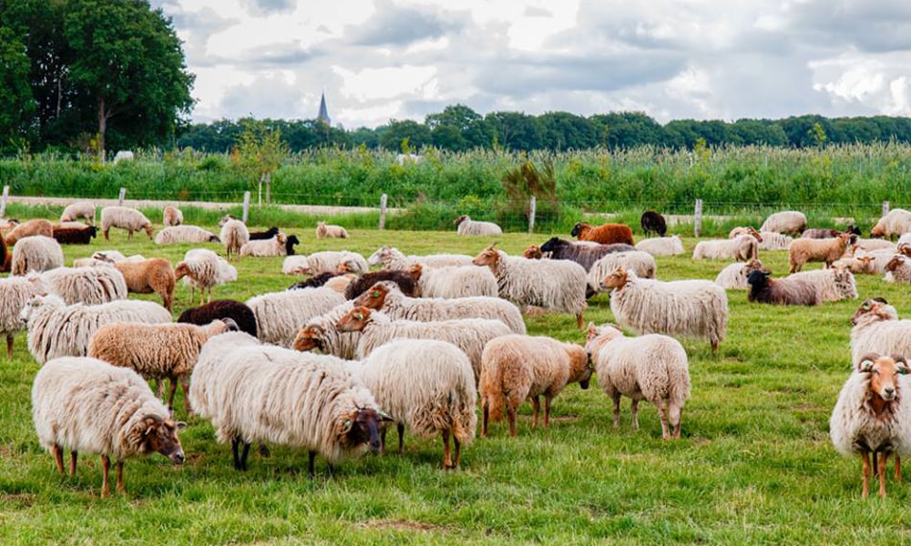 5x de allerleukste festivals met kinderen Ouders van Nu Redactie