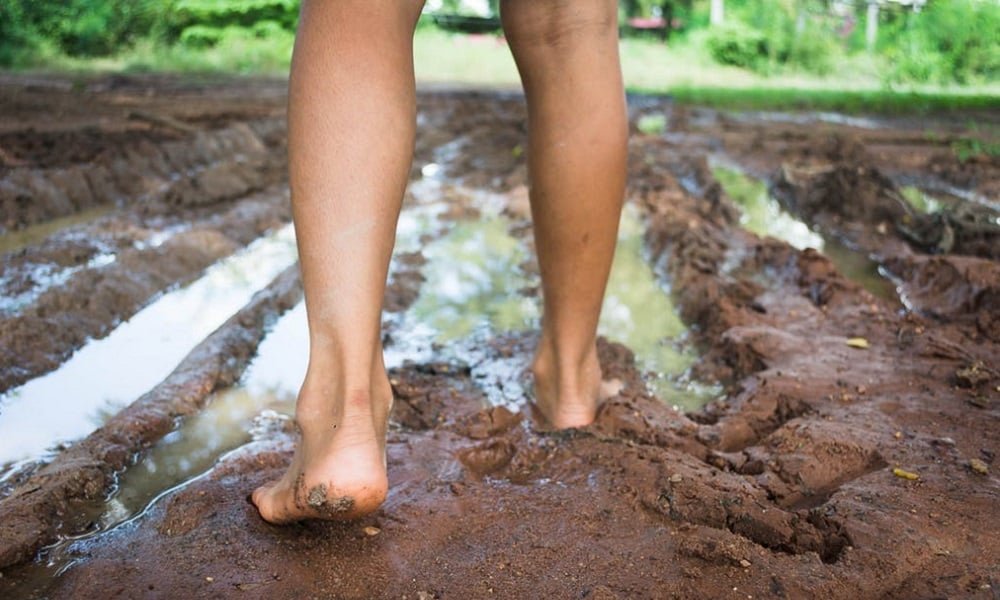 6x unieke uitstapjes in de natuur Ouders van Nu Redactie