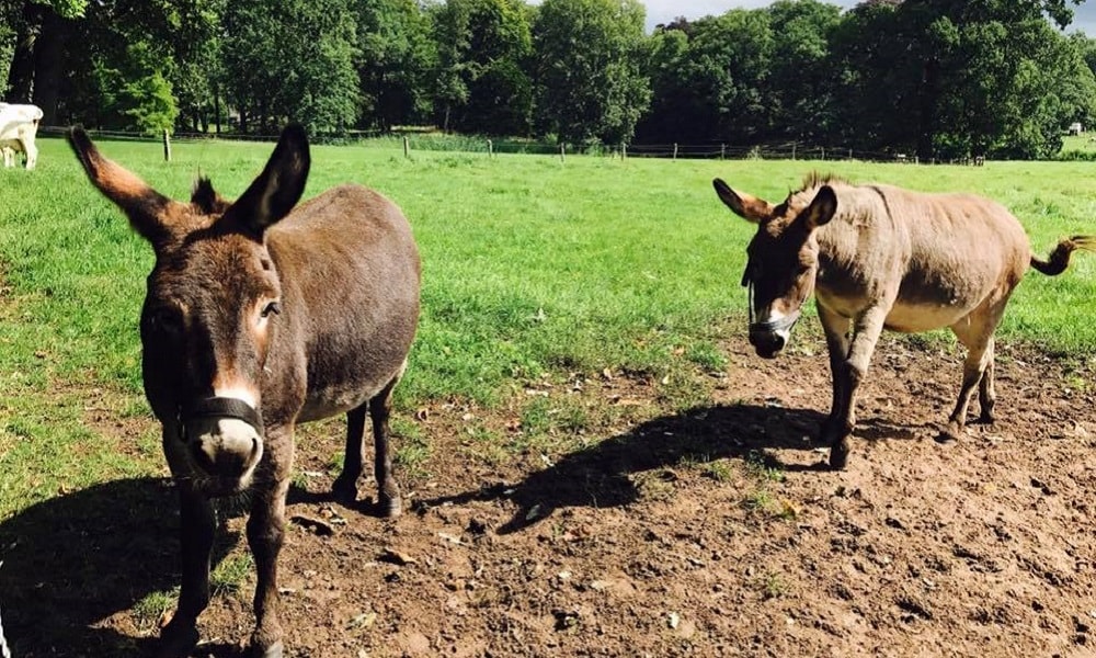 6x unieke uitstapjes in de natuur Ouders van Nu Redactie
