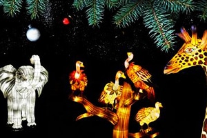 8 wereld-uitjes tijdens de kerstvakantie Ouders van Nu Redactie