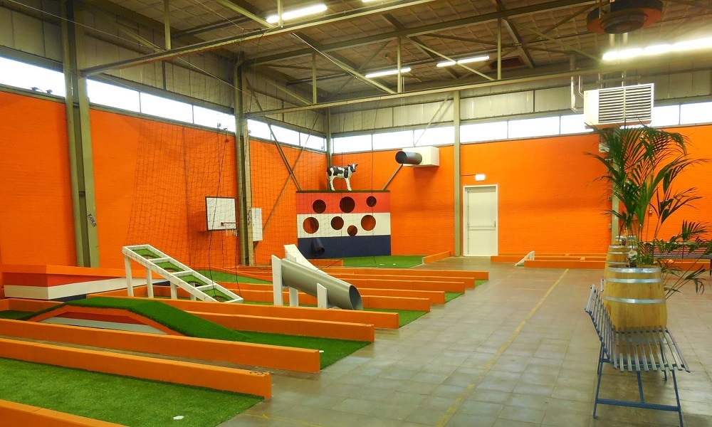10x (midget)golfuitjes met een originele twist Ouders van Nu Redactie