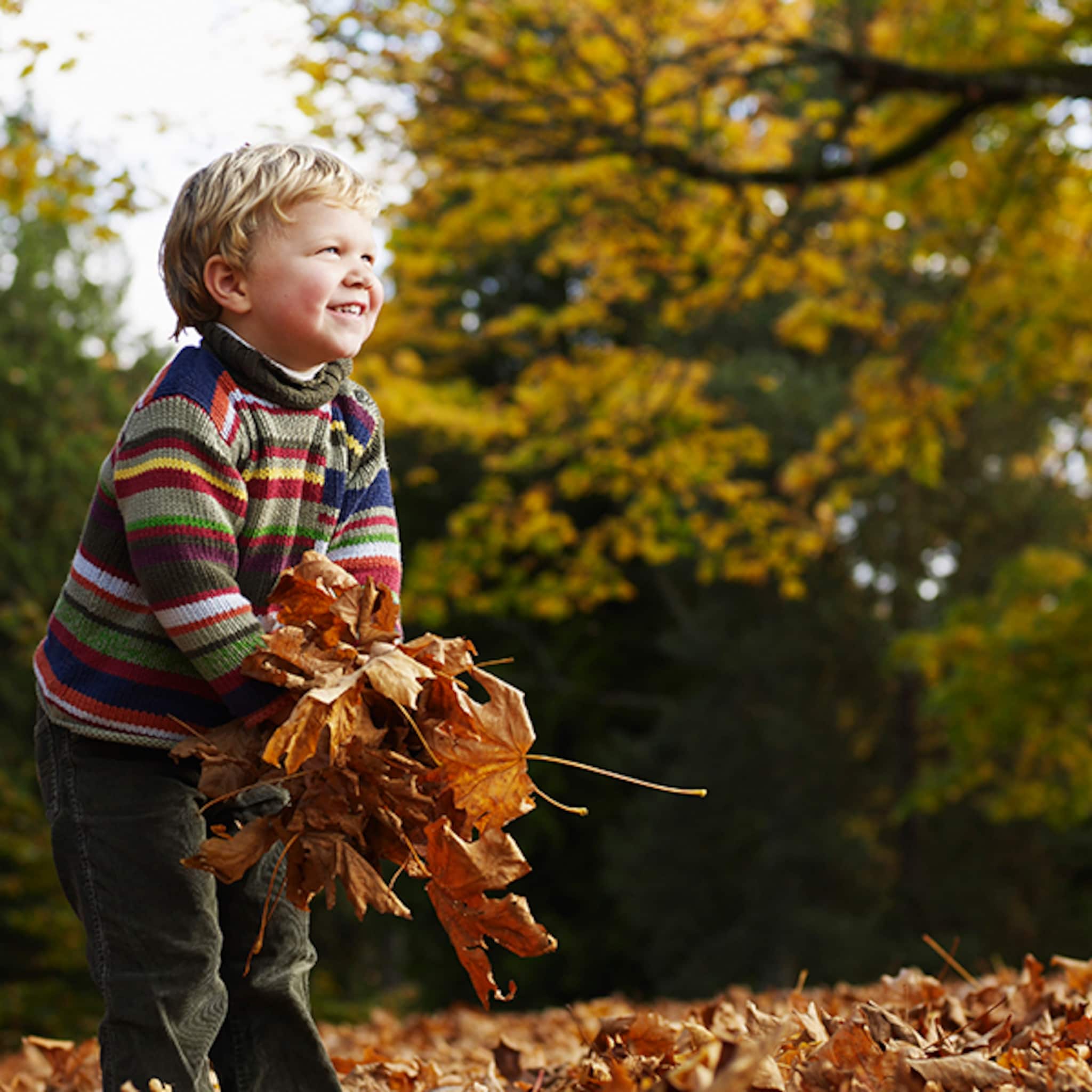 een dagje uit met kinderen dieren en natuur