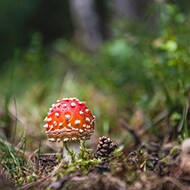 Een dagje uit met kinderen: dieren en natuur Ouders van Nu Redactie
