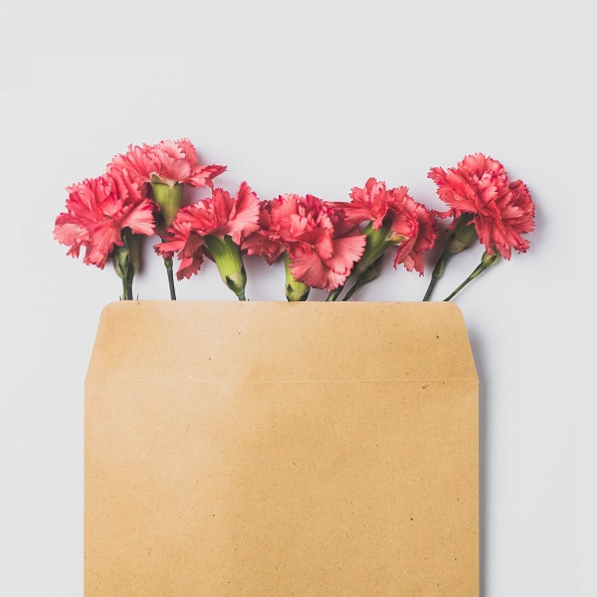sterren hout of bloemzaadjes de natuur is de trend in geboortekaartjes