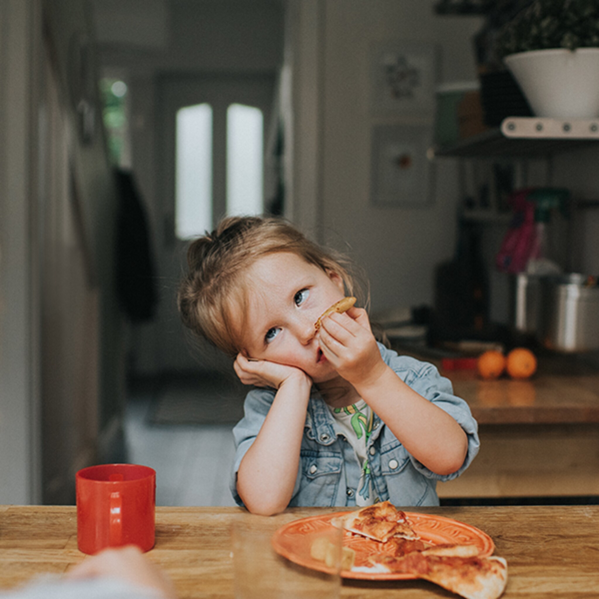 een stoelverhoger voor de eetkamerstoel dit zijn de beste voor je baby of peuter