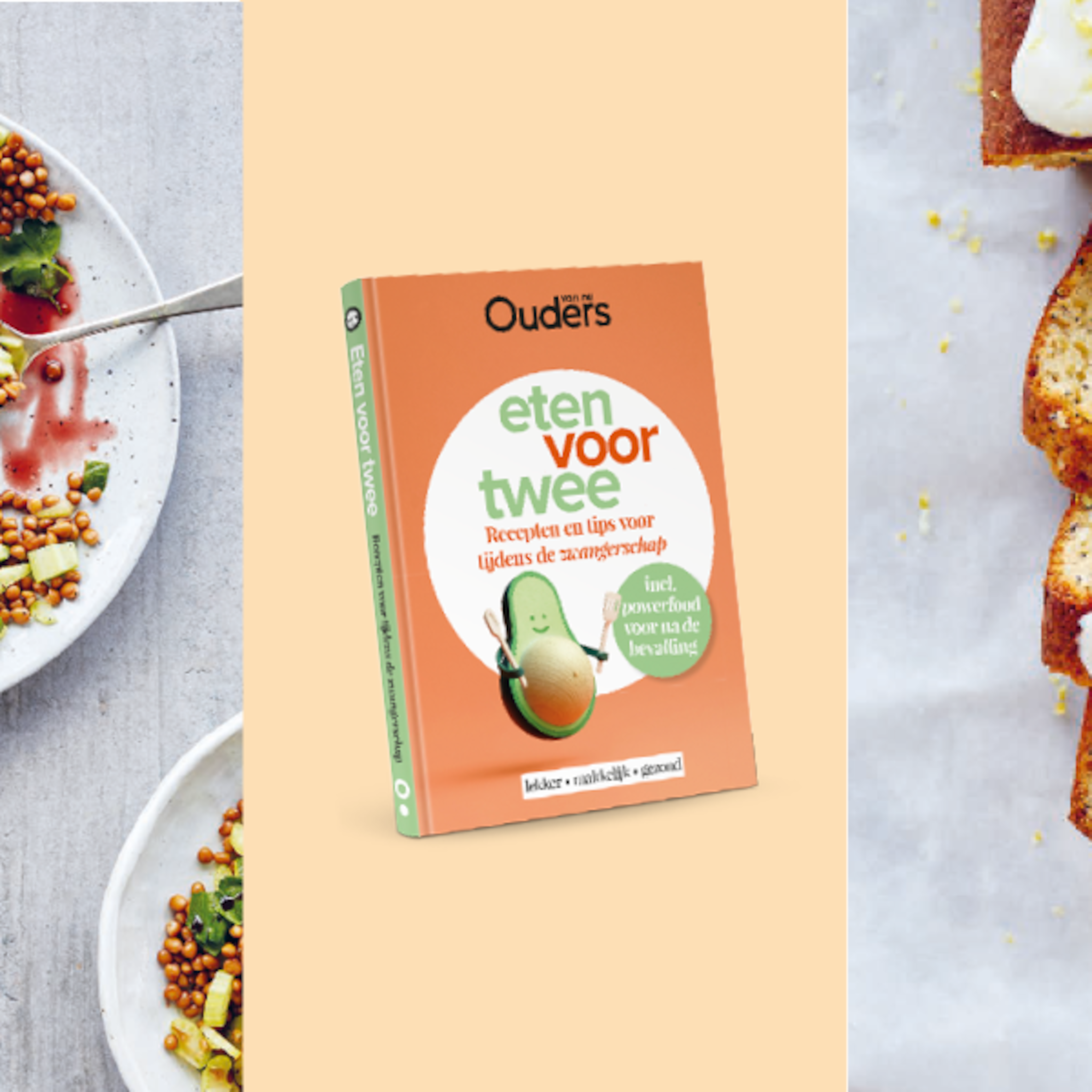 het nieuwe ouders van nu kookboek voor zwangeren dineren voor twee