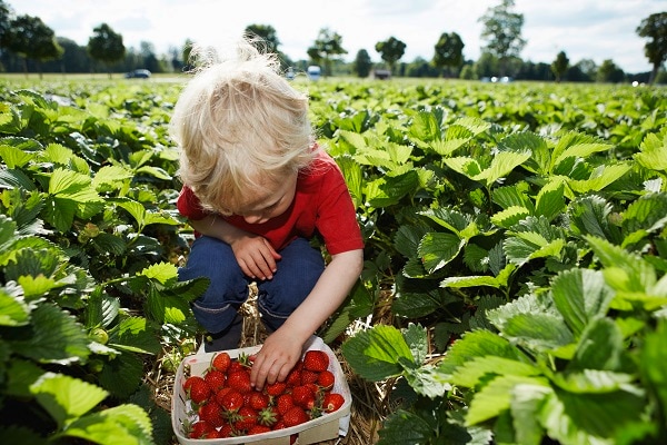 7x de leukste uitjes met kinderen in eigen land Ouders van Nu Redactie