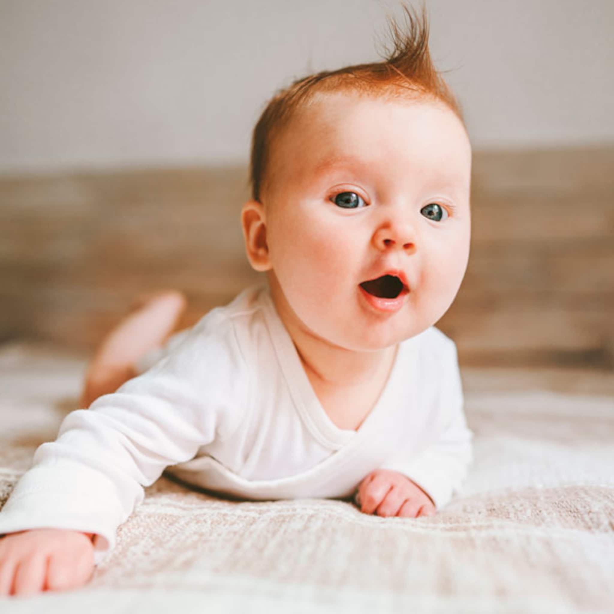 Babykalender Ouders van Nu