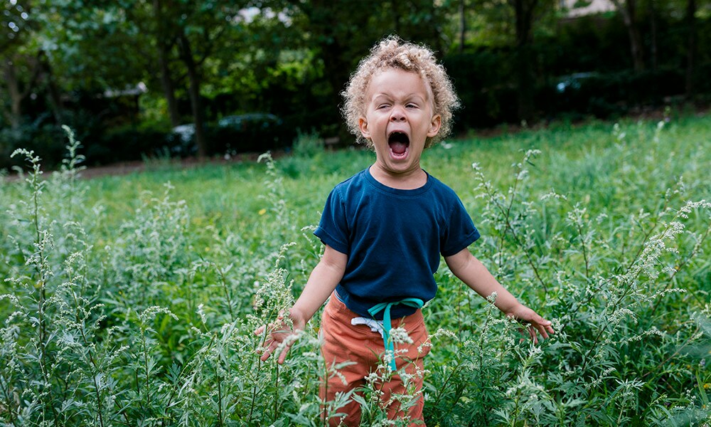 Ontwikkeling van de woordenschat van een kind Ouders van Nu Redactie